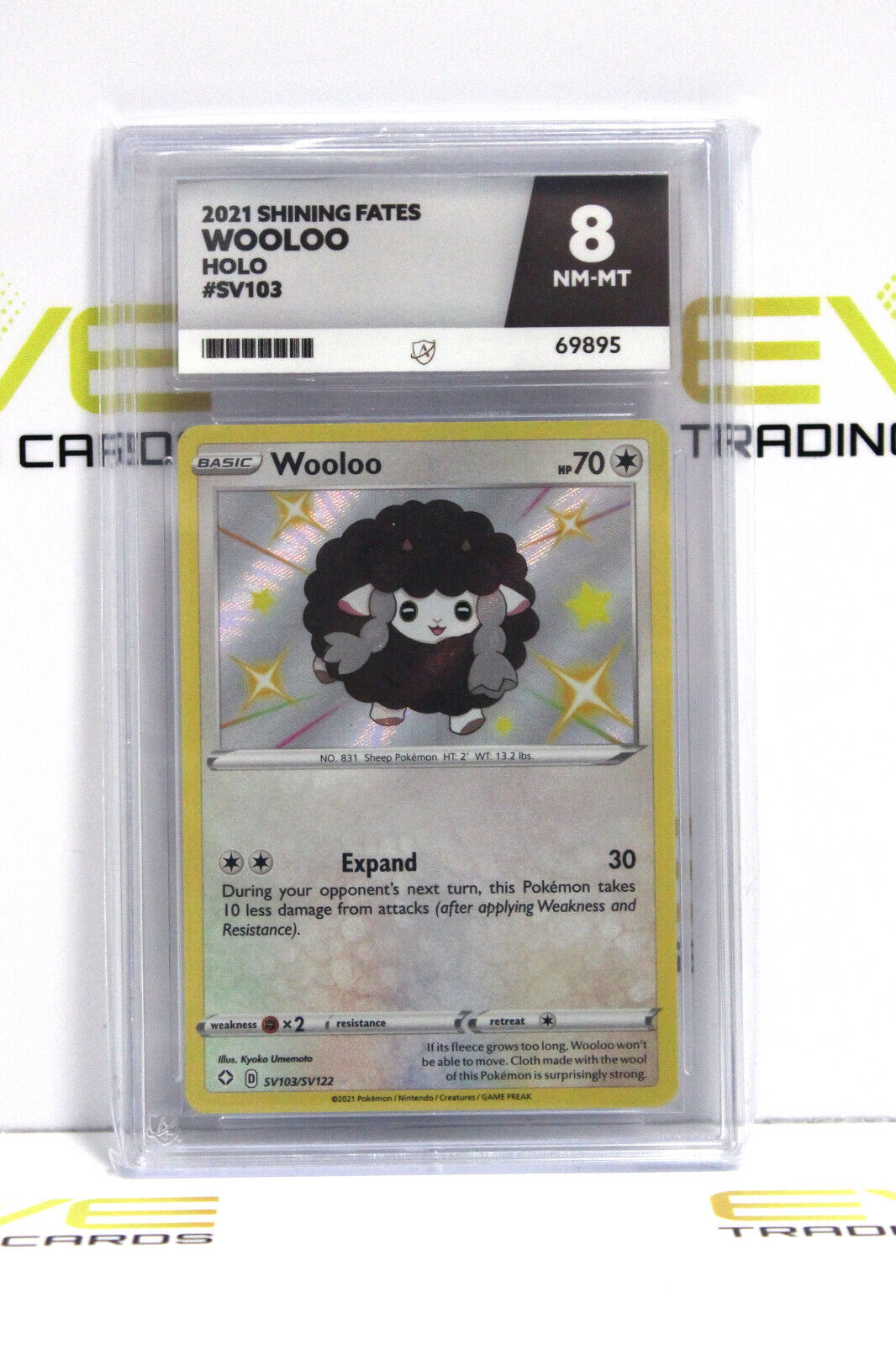 Graded Pokémon Card - SV103/SV122 2021 Wooloo Shining Fates Holo - Ace 8