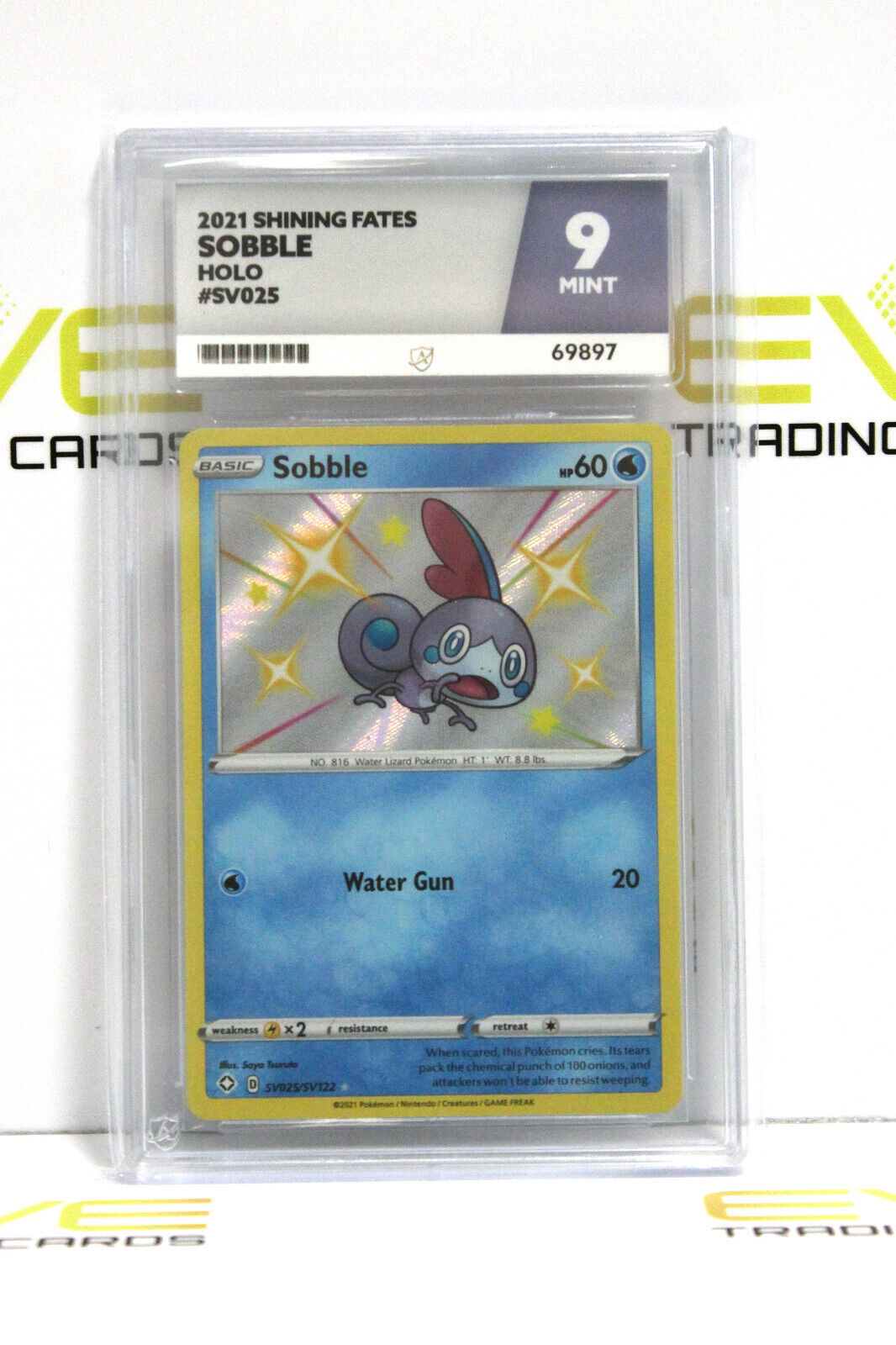 Graded Pokémon Card - SV025/SV122 2021 Sobble Shining Fates Holo - Ace 9